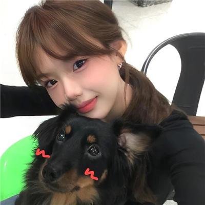 飞机总动员：打火英雄