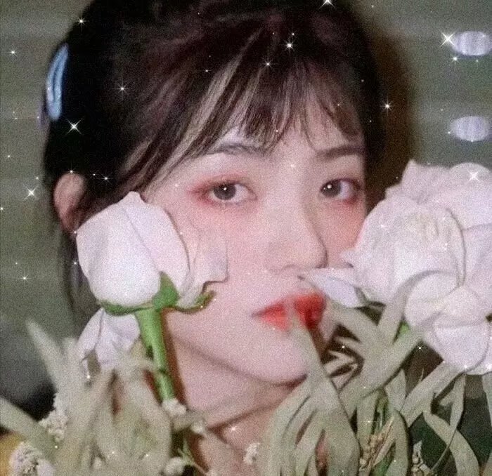 怪猫杏子